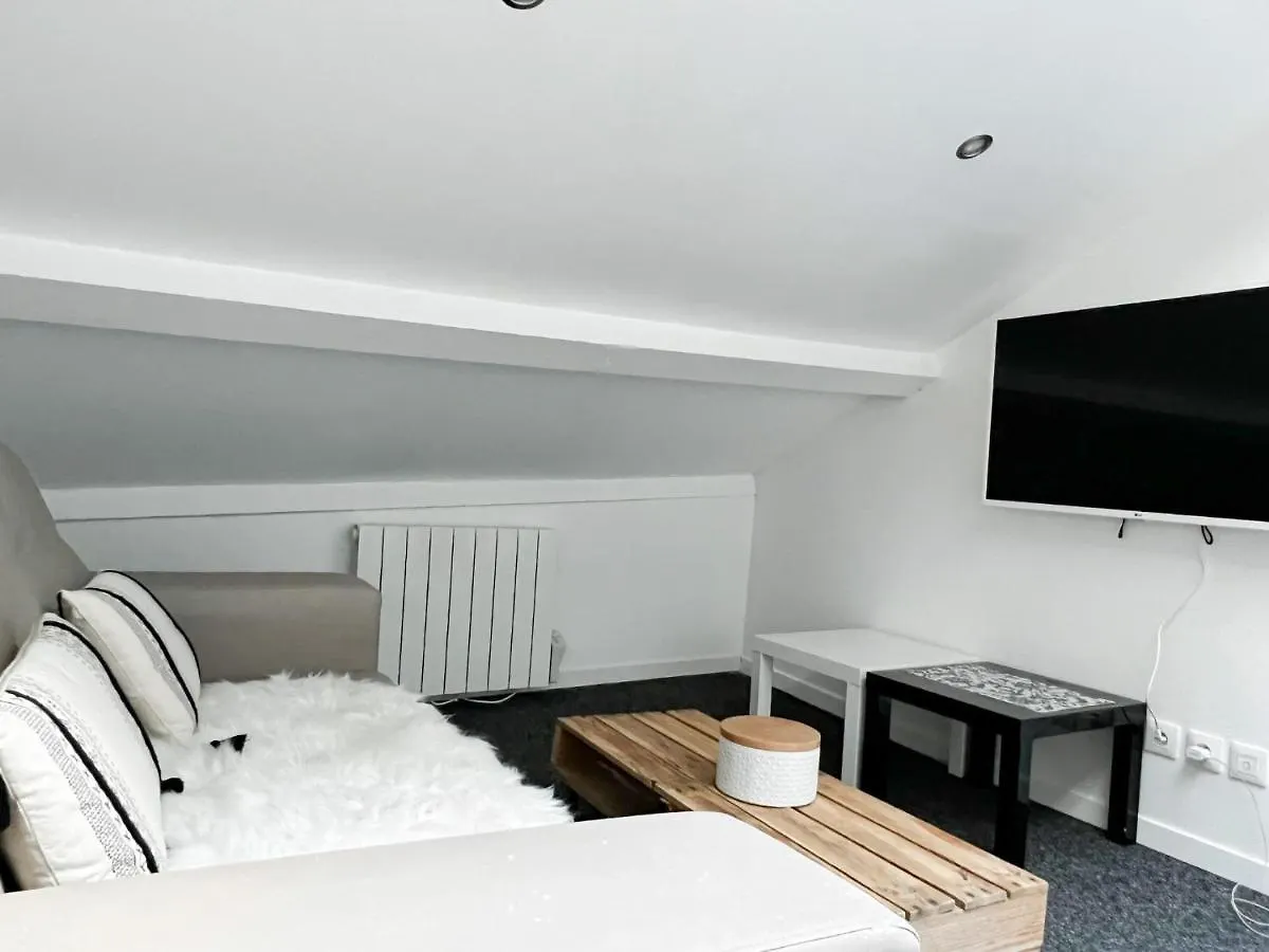 Apartment Atypique Sous Chateau Vieille Ville Annecy France