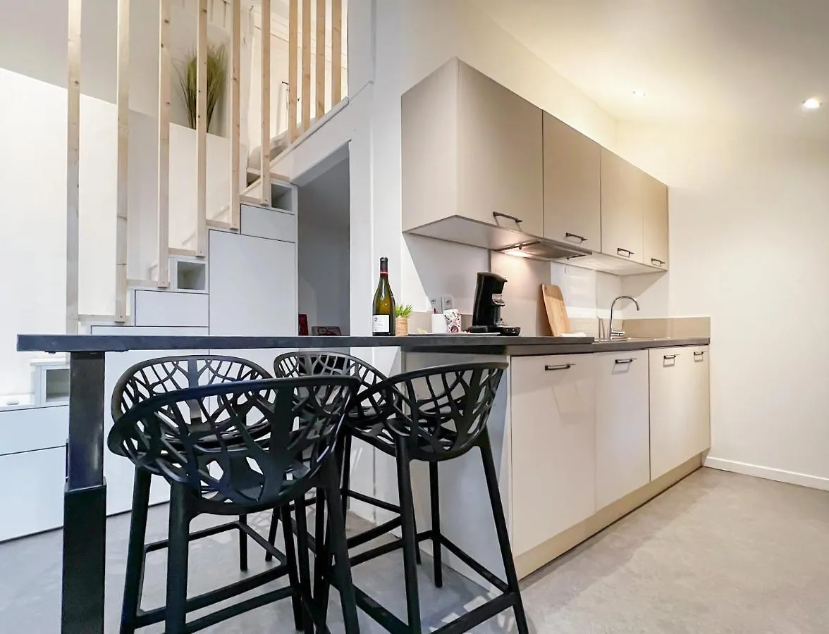 Apartment Atypique Sous Chateau Vieille Ville Annecy
